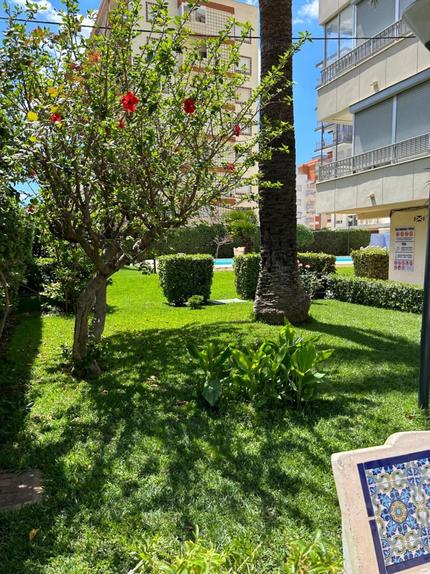Apartamento Gandia Playa 150M Playa Con Parking Privado Y Piscina Playa de Gandia Exteriör bild